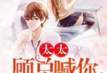 想读 戚玥顾淮的故事,哪里可以免费找到太太,顾总喊你生二胎?-个性文学