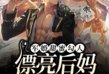 江梦凝霍谨言为主角的小说好看吗？求军婚甜蜜勾人，漂亮后妈养崽赚麻了免费试读-个性文学