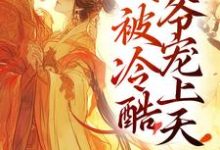 重生以后,我被冷酷王爷宠上天这本小说怎么样?免费在线阅读试试-个性文学