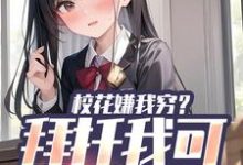 求推荐可以免费阅读校花嫌我穷？拜托我可是真神豪小说的网站-个性文学