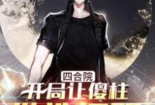 求四合院:开局让傻柱做选择题小说的全文免费阅读链接-个性文学