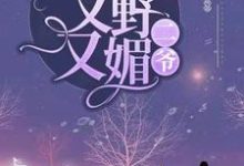 二爷，夫人她又野又媚小说的免费电子版在哪里可以下载或阅读？-个性文学