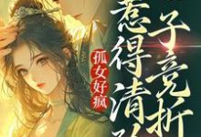 已完结小说《孤女好疯,惹得清矜世子竞折腰》最新章节-个性文学