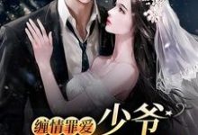 主角苏绵绵谢与淮小说缠情罪爱:少爷,夫人逃跑了免费阅读-个性文学