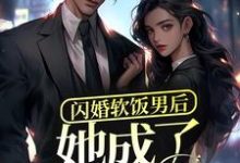 闪婚软饭男后，她成了富太太？小说的所有章节都能在哪里免费读到？-个性文学