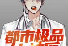 哪里能找到都市极品小神医小说的最新更新和免费章节？-个性文学