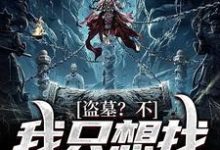 完整版的盗墓?不,我只想找失踪的妈小说在哪里可以免费读到?-个性文学