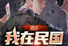 小说《潜伏:我在民国当间谍》在线章节阅读-个性文学