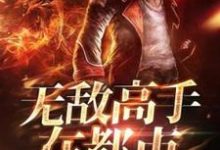 无敌高手在都市小说，无敌高手在都市林宇阳刘圆圆-个性文学