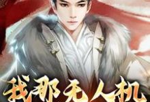 我那无人机轰炸倭寇小说的最新章节在哪里更新?免费追踪阅读-个性文学