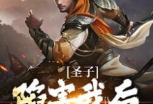 已完结小说《圣子陷害我后,宗门暴乱》章节免费阅读-个性文学