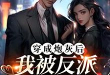 穿成炮灰后,我被反派夫人拉黑了这本小说在哪里可以看?哪里有免费试读章节?-个性文学