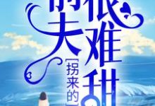 拐来的前夫很难甜小说,拐来的前夫很难甜最新章节-个性文学