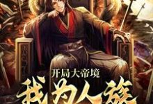 开局大帝境，我为人族横扫诸天小说，开局大帝境，我为人族横扫诸天最新章节-个性文学