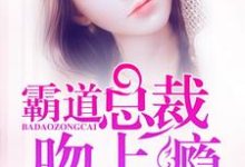 霸道总裁宠上瘾小说，霸道总裁宠上瘾最新章节-个性文学