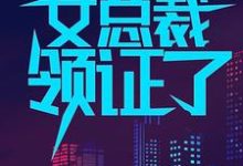 哪里可以免费读到叶辰顾倾城姚静汤若男的完整故事？寻找一觉醒来，我和女总裁领证了-个性文学