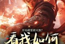 求开局就要被灭族？看我如何独断万古小说免费资源-个性文学