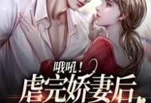 主人公桑田薄肆小说哦吼!虐完娇妻后,总裁火葬场了在线章节阅读-个性文学