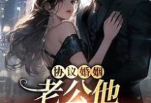 完结版《协议婚姻,老公他不想离婚》章节阅读-个性文学