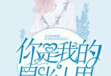你是我的星光十里黎月季司深，你是我的星光十里章节在线阅读-个性文学