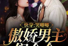 快穿：傲娇男主们个个哭唧唧小说最新更新在哪里？免费在线看-个性文学