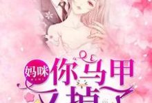 小说《妈咪，你马甲又掉了》章节免费阅读-个性文学