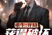 《重生：开局获得破坏愿望系统》全集免费在线阅读（陈子枫林雨薇）-个性文学