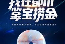 完结版《穿越百年,我在都市鉴宝捞金》章节阅读-个性文学