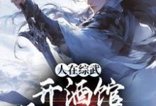 人在综武开酒馆,喝了能入仙(苏晨)在线免费阅读-个性文学