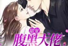 甜宠：腹黑大佬蓄谋已久的爱小说有没有完结版在线？-个性文学