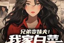 兄弟变妹夫！我家白菜被猪拱了小说最新更新在哪里？免费在线看-个性文学