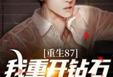 主角陈兴邦苏静小说完结版在线阅读,重生87:我重开钻石王老五副本免费看-个性文学