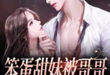 笨蛋甜妹被哥哥的兄弟盯上了小说的无弹窗阅读体验,寻找免费阅读网站-个性文学