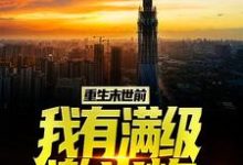 重生末世前，我有满级激光炮陆宁王烨在线章节免费阅读-个性文学