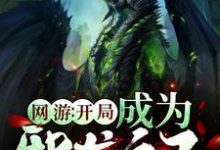 小说《网游：开局成为邪龙之子》章节阅读-个性文学