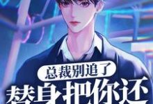 《总裁别追了,替身把你还给白月光了》全集免费在线阅读(岑溪顾子风)-个性文学