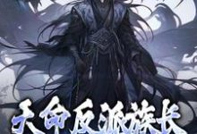 已完结小说《天命反派族长:我,超级护短》章节在线阅读-个性文学