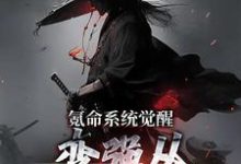 邢风是哪本书的主角？氪命系统觉醒，变强从掠杀开始免费读-个性文学