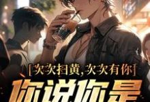 求次次扫黄次次有你,你说你是卧底?小说的全文免费阅读链接-个性文学