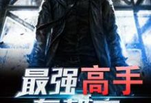 最强高手在都市免费阅读,最强高手在都市章节目录-个性文学