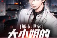 小说《都市：世家大小姐的漫漫追夫路》在线章节阅读-个性文学