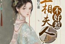 主角盛安蓝沈白屿乐冉娜宁小说完结版在线阅读，丞相夫人不好惹免费看-个性文学