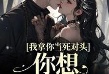 小说《我拿你当死对头,你想钻我被窝?》章节阅读-个性文学