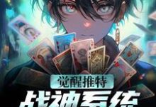 在线寻找林昊的小说，觉醒推特战神系统，我大杀四方免费阅读-个性文学