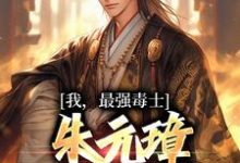 张宁朱元璋是哪本书的主角？我，最强毒士，朱元璋劝我善良免费读-个性文学