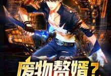 完结版《废物赘婿?不,我是战狼!》在线免费阅读-个性文学