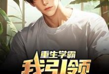 完结版《重生学霸:我引领强国狂潮》在线免费阅读-个性文学