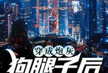 寻找能够免费阅读穿成炮灰狗腿子后我暴富了小说的平台-个性文学