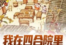 《我在四合院里斗智斗勇》全集免费在线阅读（叶远）-个性文学