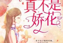 少帅,夫人真不是娇花!小说的免费电子版在哪里可以下载或阅读?-个性文学
